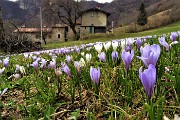 Ritorno al Monte Molinasco e al Ronco da Alino  passando per Ca’ Boffelli e Vettarola il 14 marzo 2019 - FOTOGALLERY